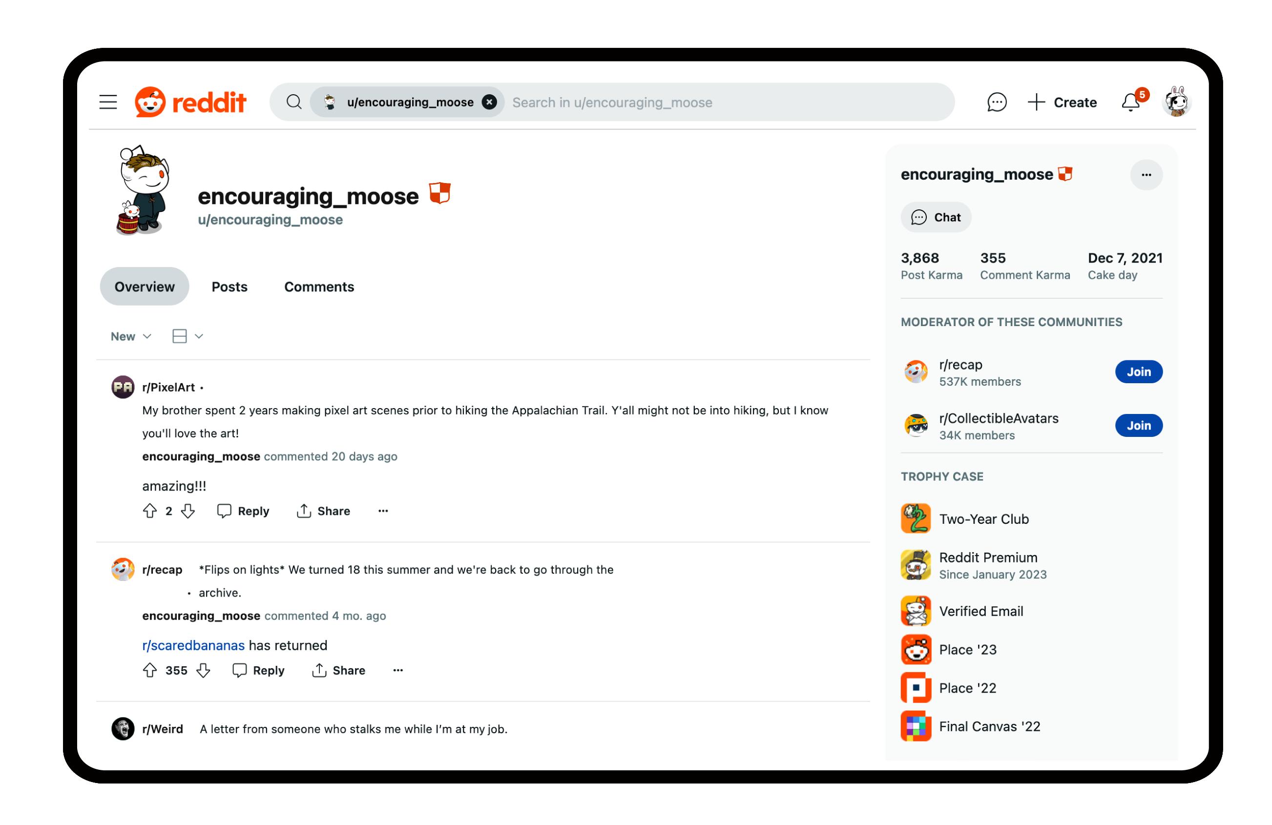 discord alternatives - reddit