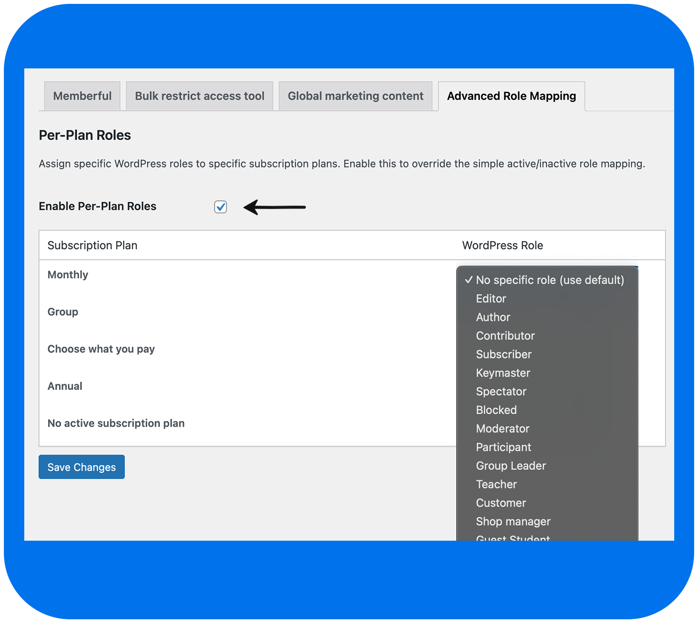 WordPress role mapping by plan